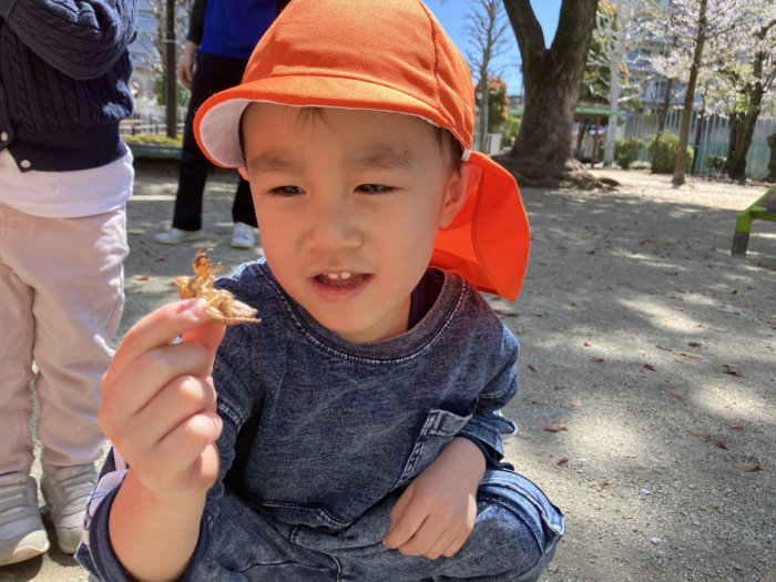 セミの抜け殻をみつけて・・・
