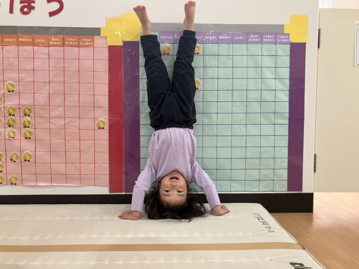 毎日の朝の運動